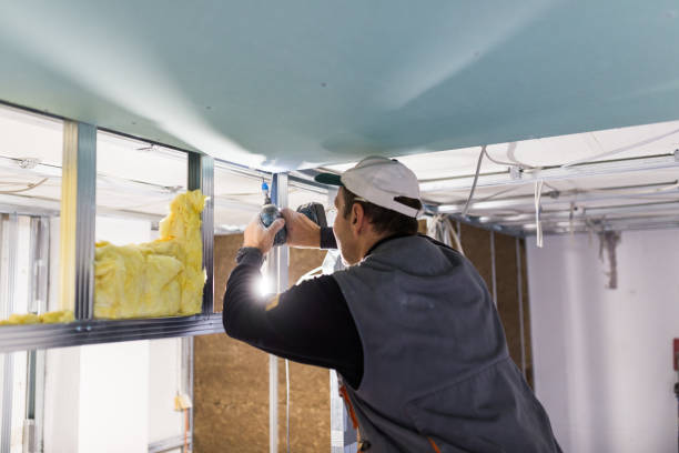 Best Fiberglass Insulation in Minooka, IL